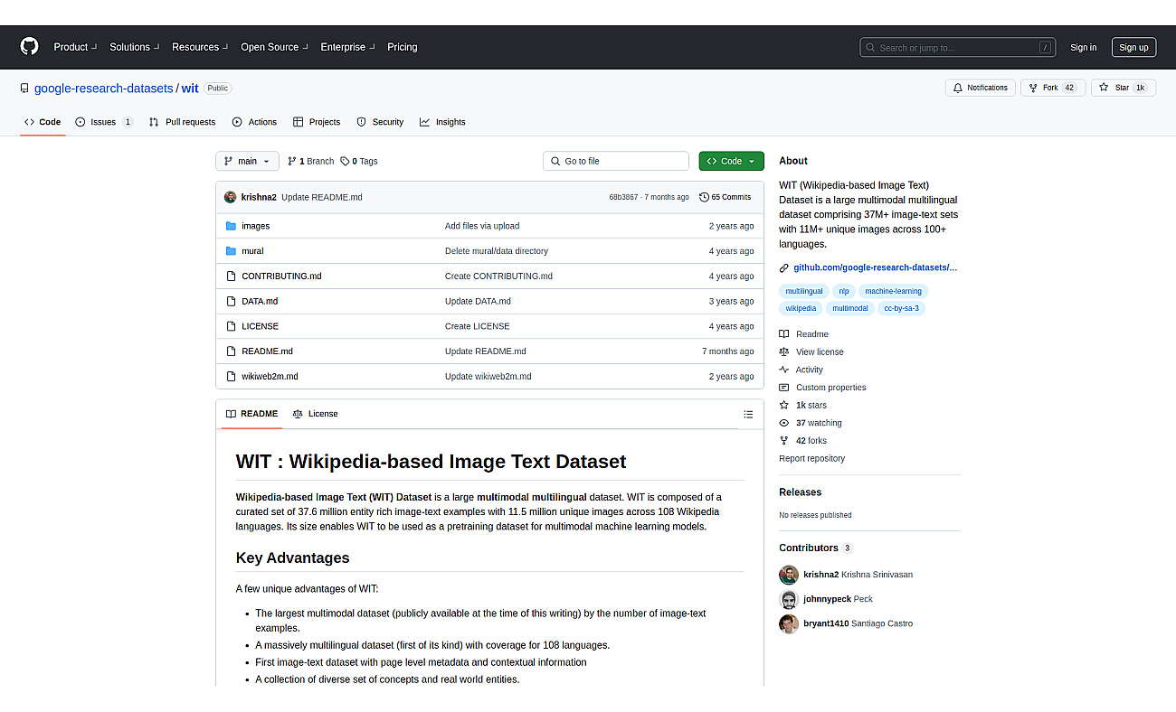 WIT by Google AI