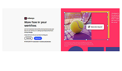 InDesign