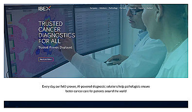 ibex-ai.com
