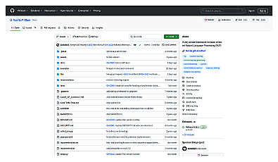 Flair NLP