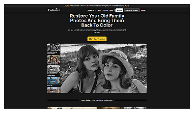 Imagecolorizer