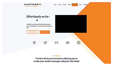 SmartBird