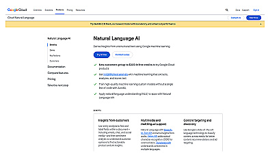 Google Natural Language API