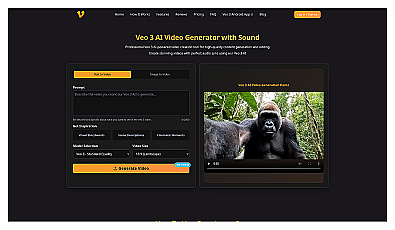 VidVeo3