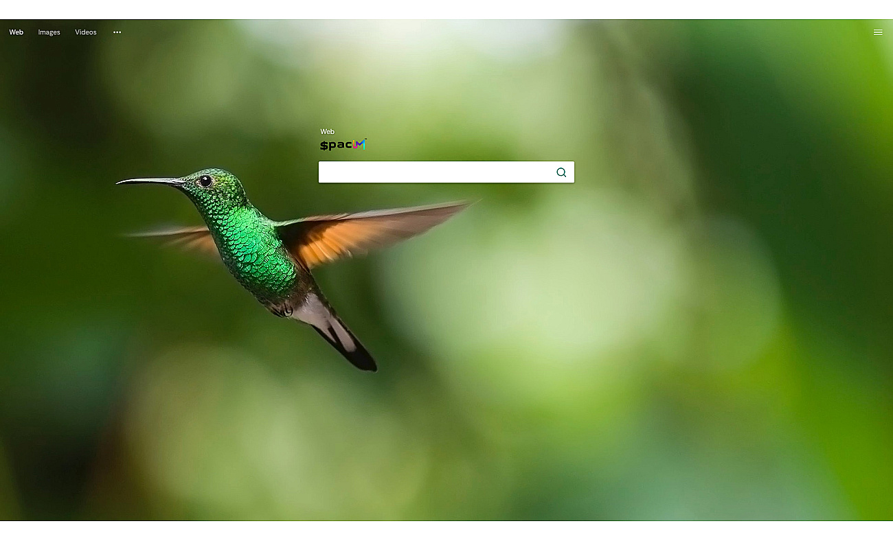 Spacum search engine screenshot
