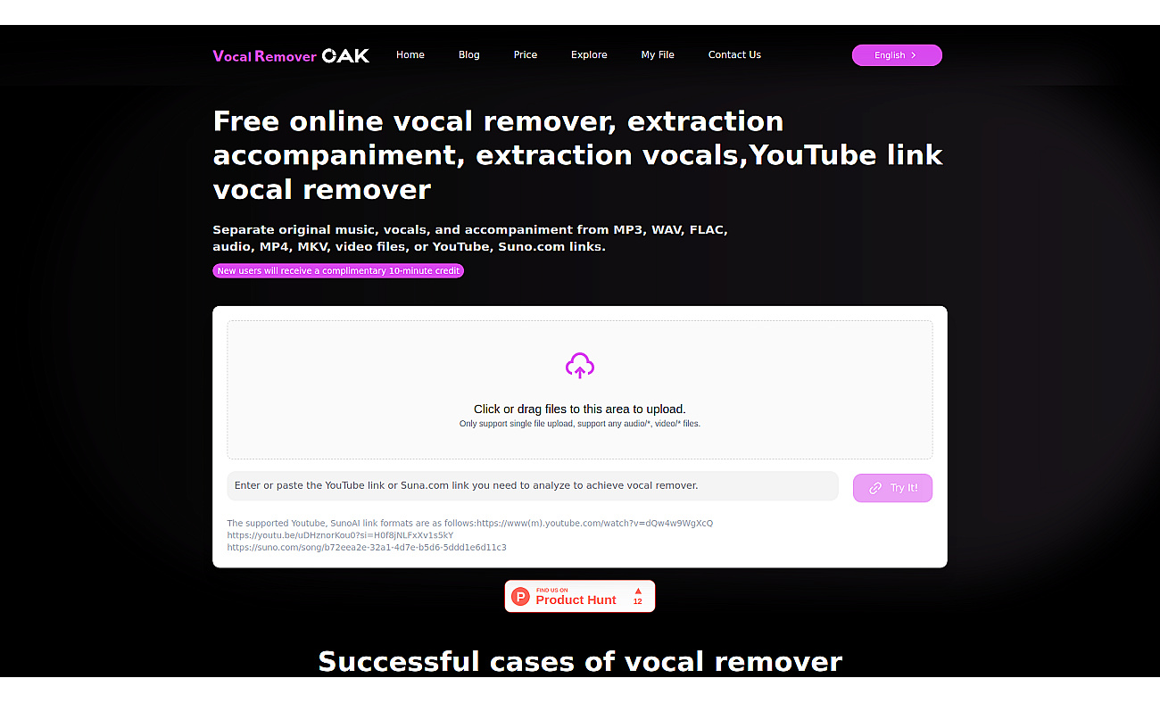 Vocal Remover Online screenshot