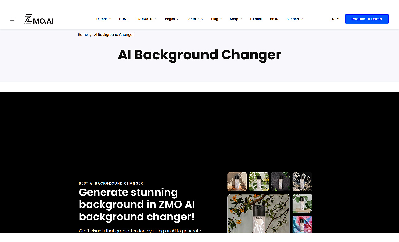 Background Changer screenshot