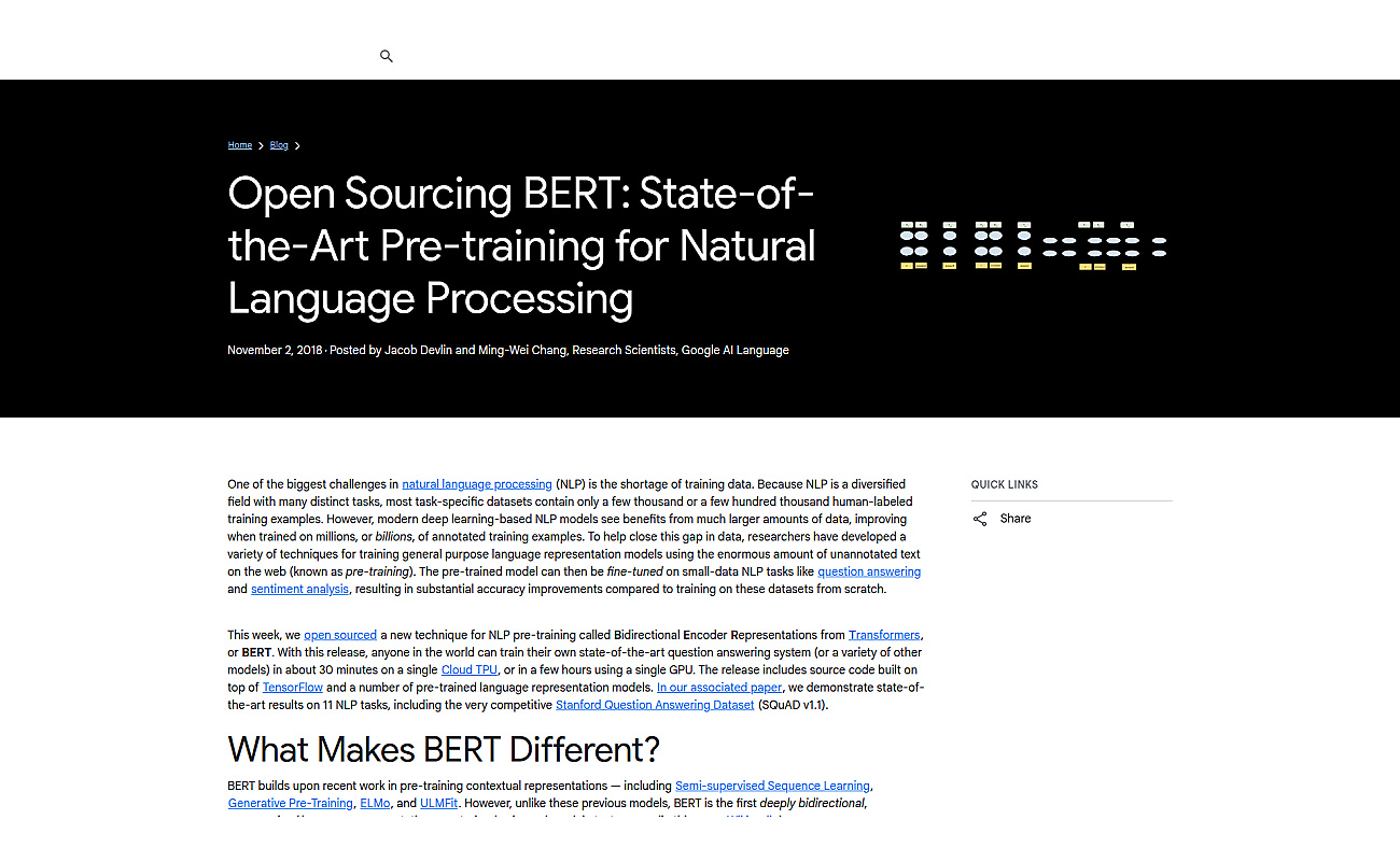 Google BERT screenshot