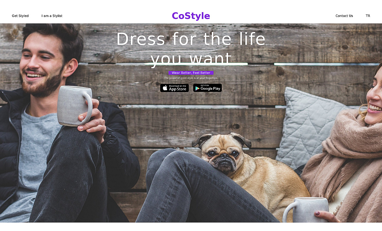 CoStyle screenshot