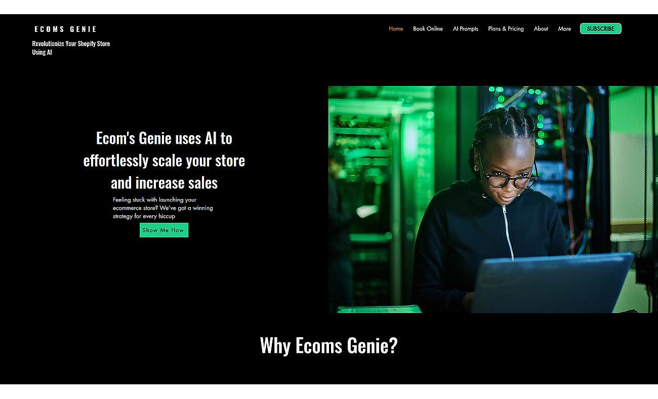 Ecoms genie ai screenshot