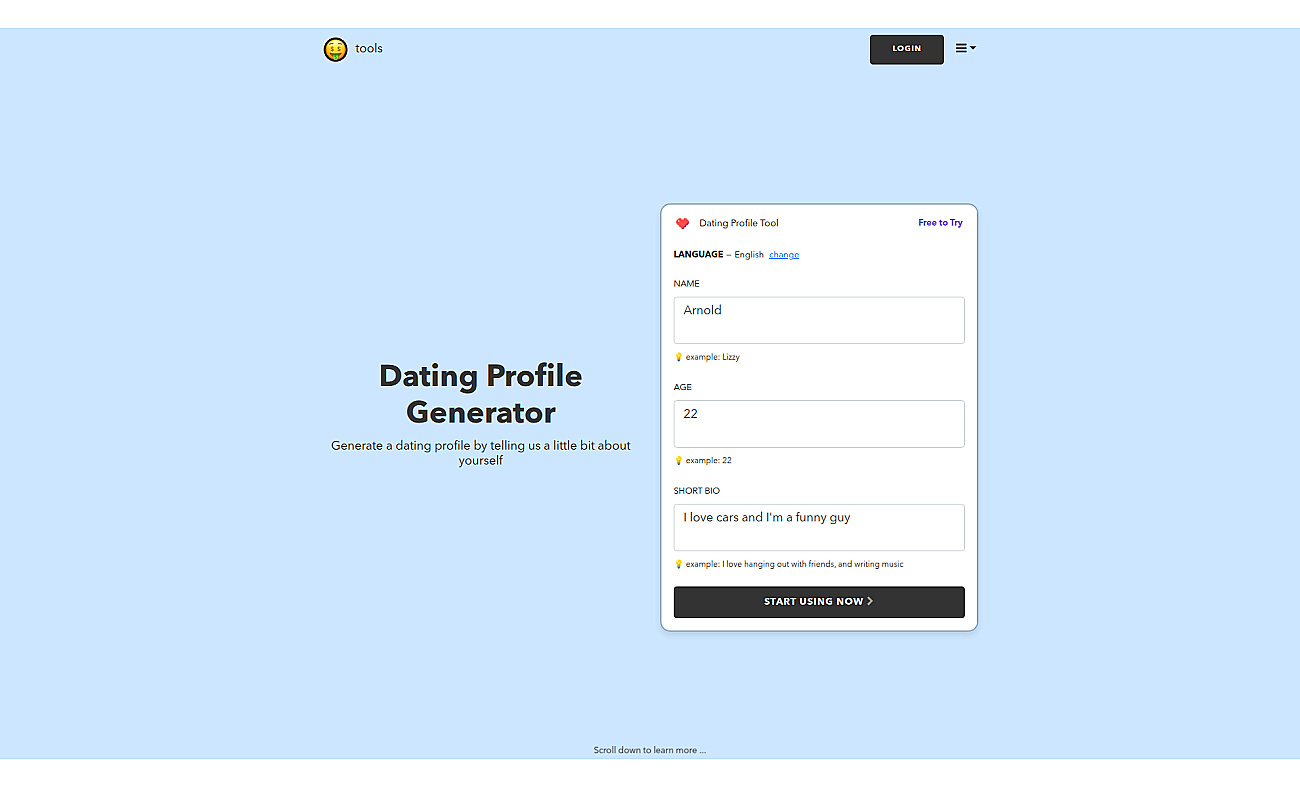 Dating Profile Generator | nichesss screenshot