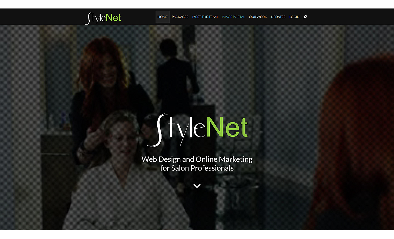 StyleNet screenshot