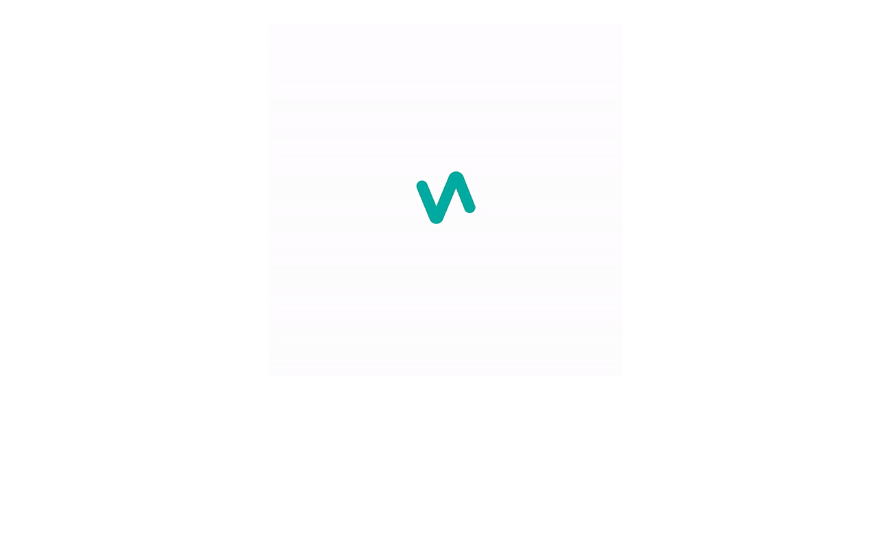 VideoAmigo screenshot