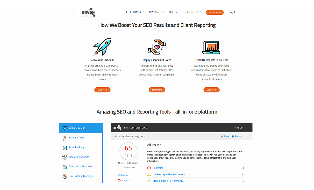 Raven Tools screenshot