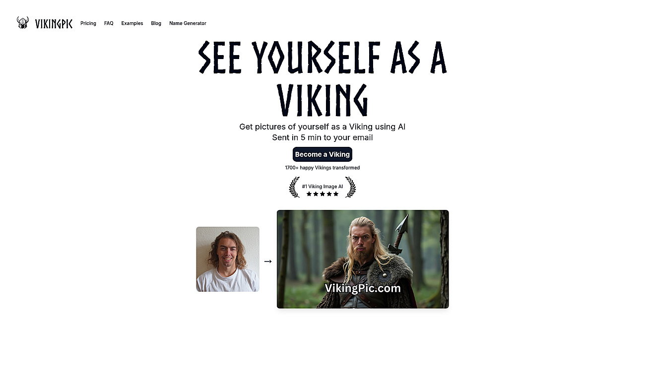 VikingPic screenshot