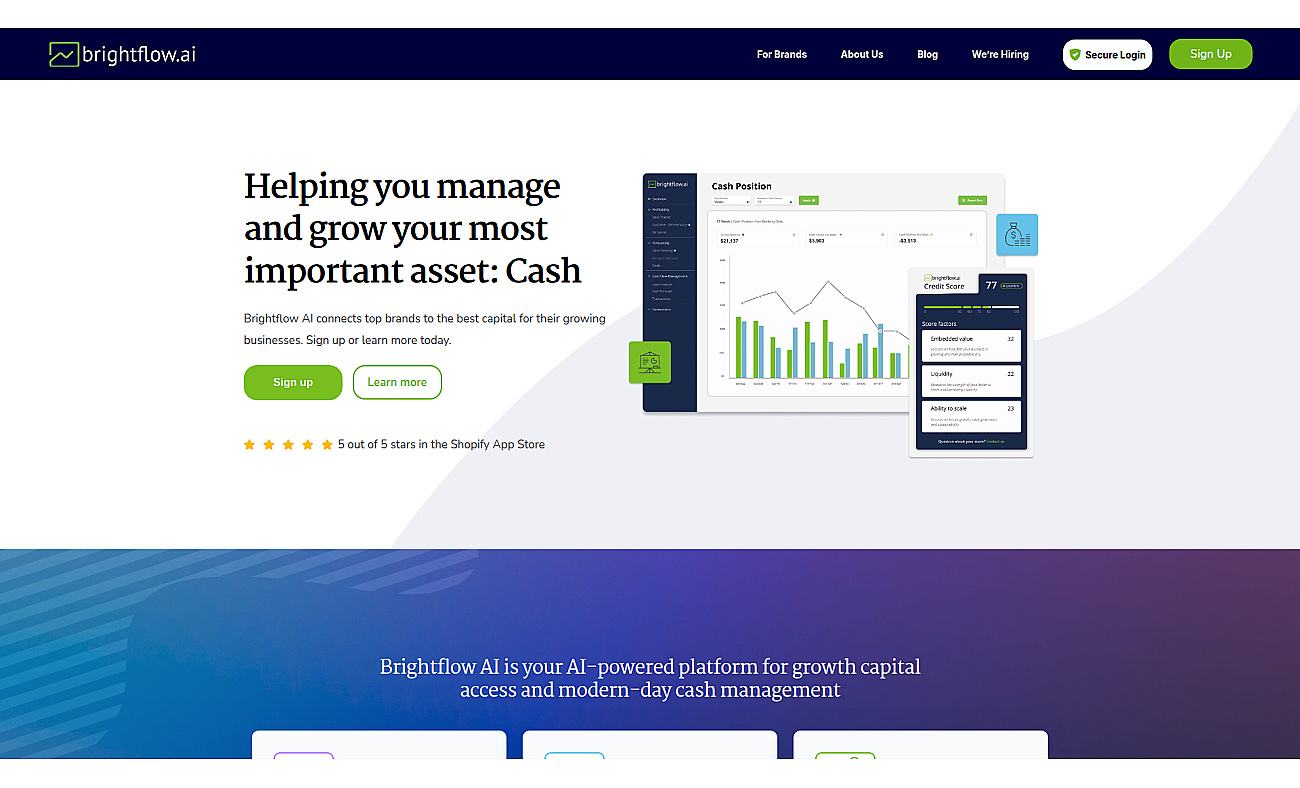 Brightflow AI screenshot