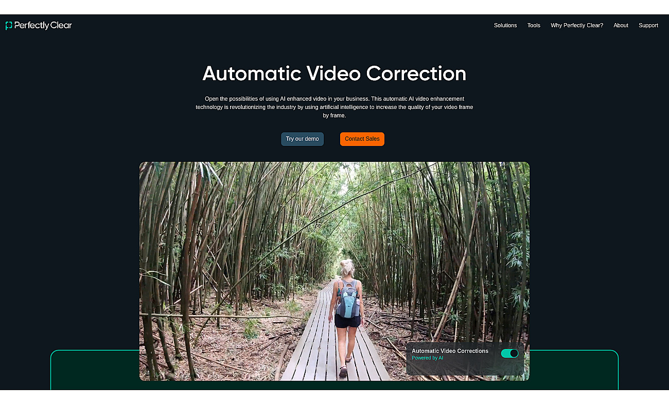 Perfectly Clear Video screenshot