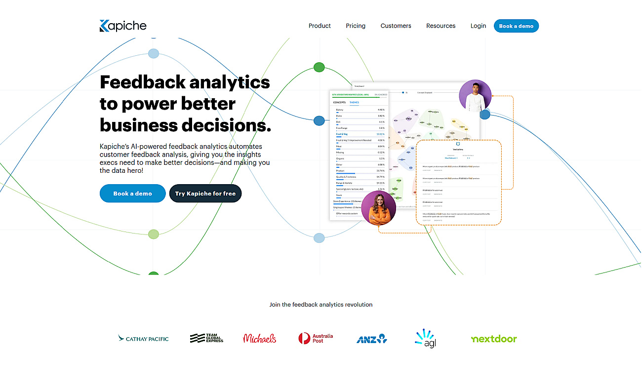 Kapiche screenshot
