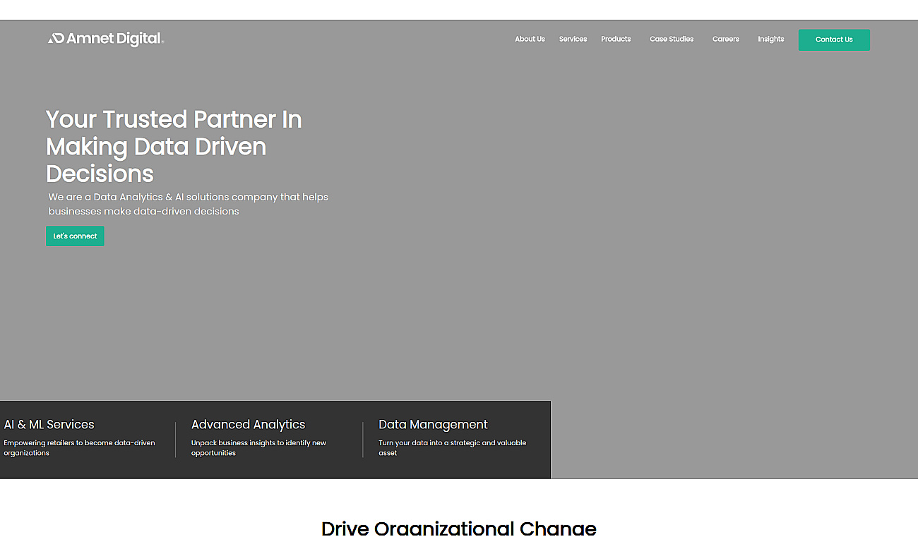 Amnet Digital screenshot