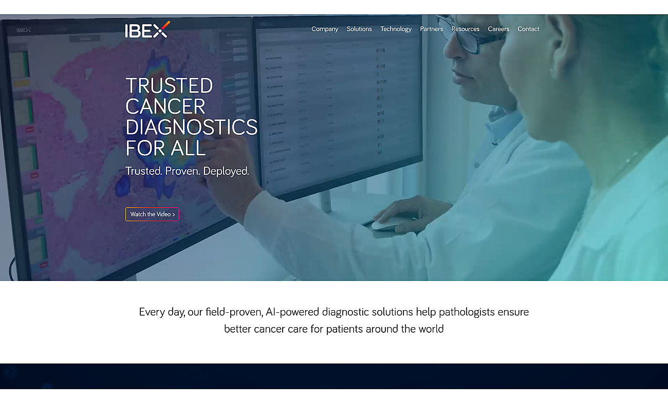 ibex-ai.com screenshot