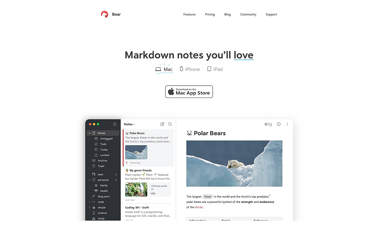 Bear screenshot