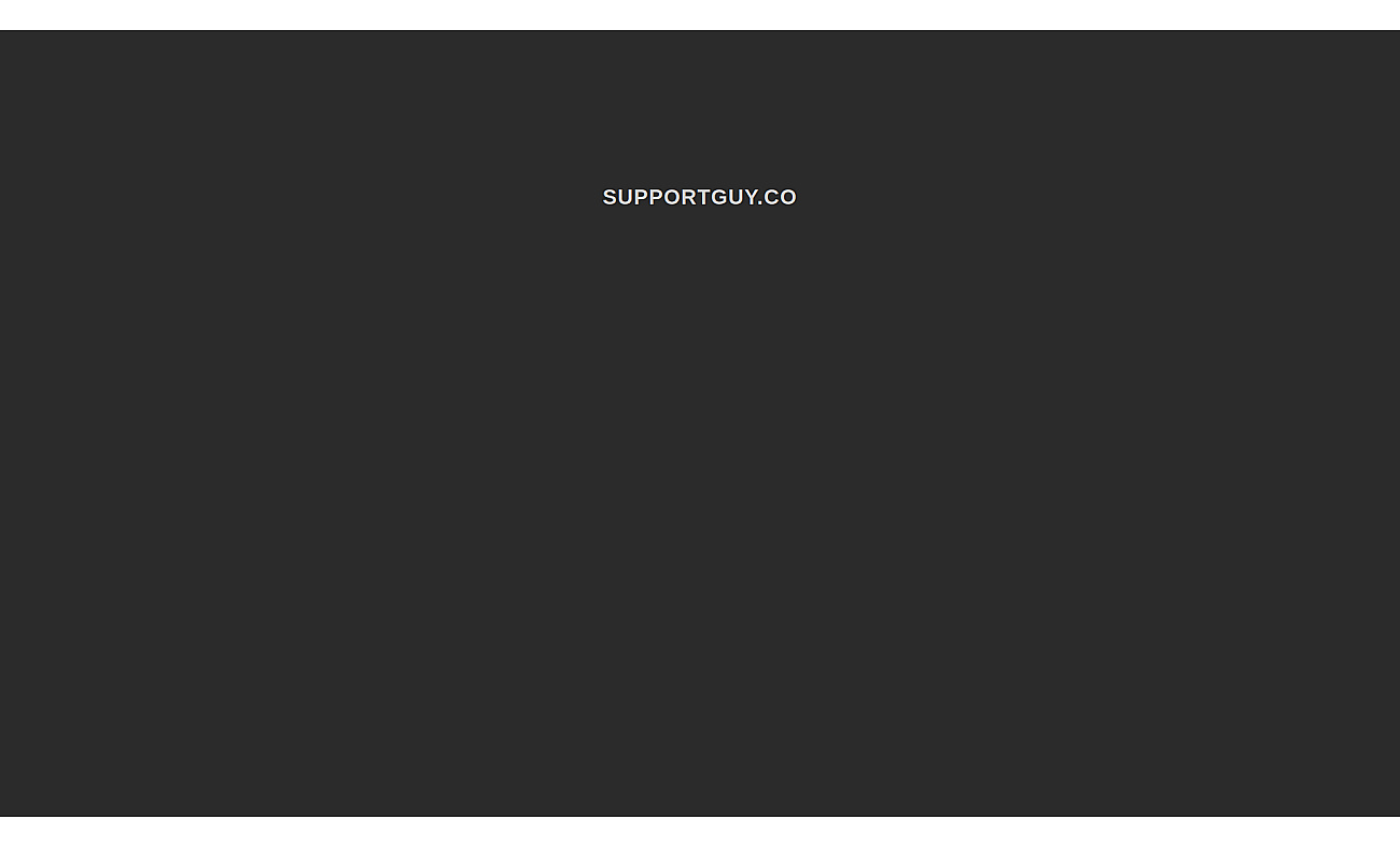 Support Guy screenshot