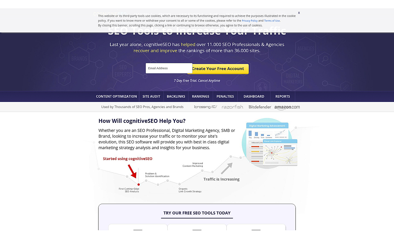 CognitiveSEO screenshot