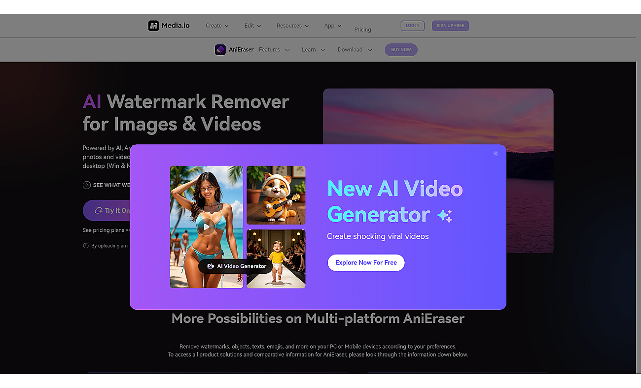 AniEraser screenshot