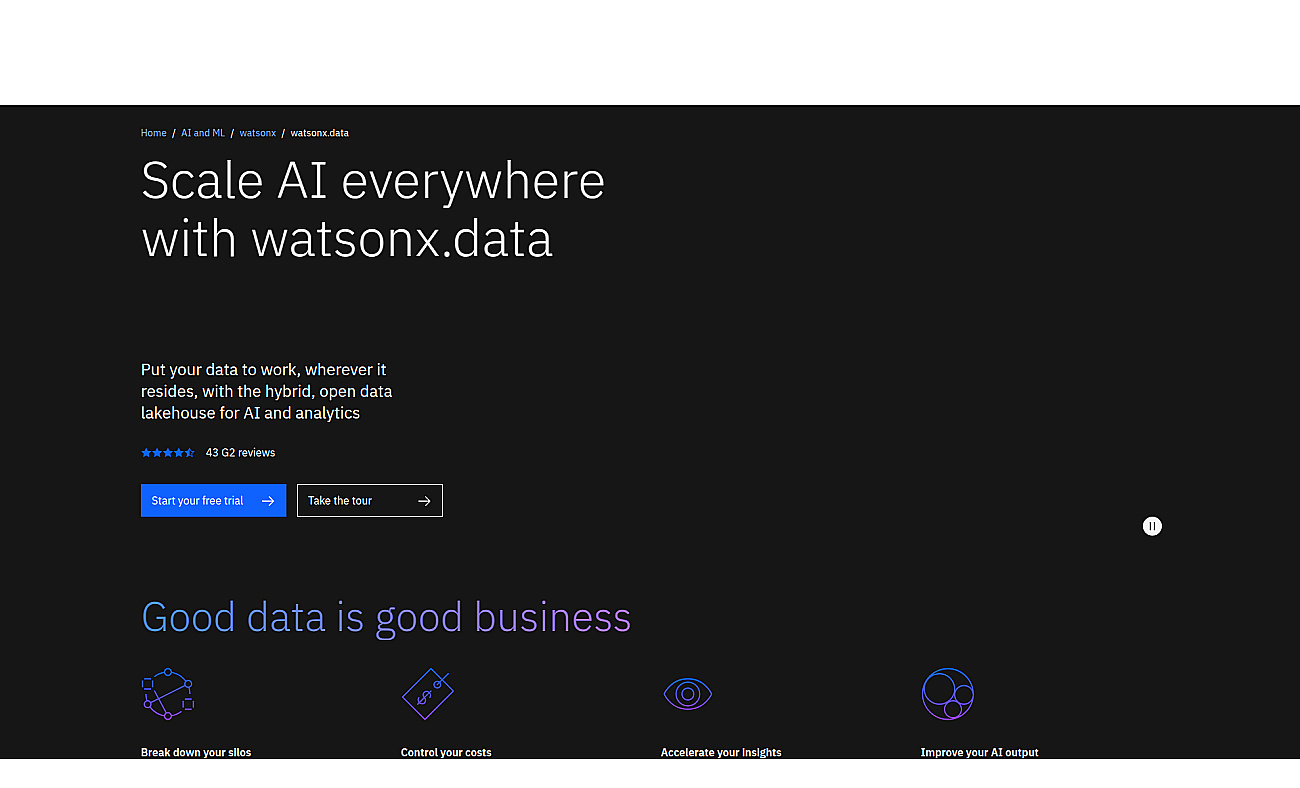 WatsonX.data by IBM screenshot