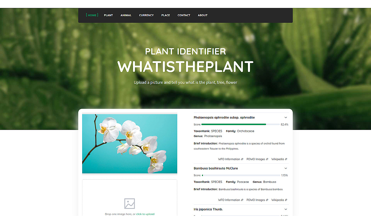 What is the Plant? screenshot