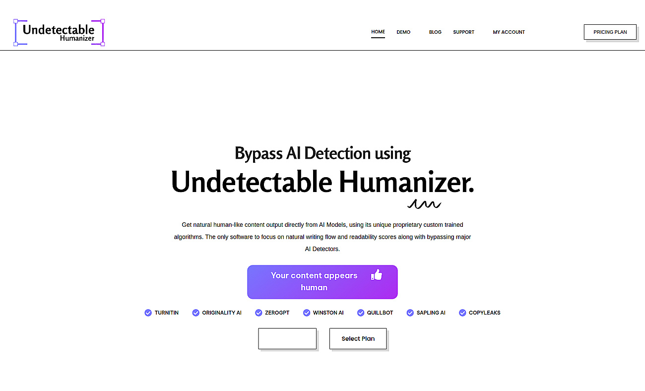 Undetectable AI Humanizer screenshot