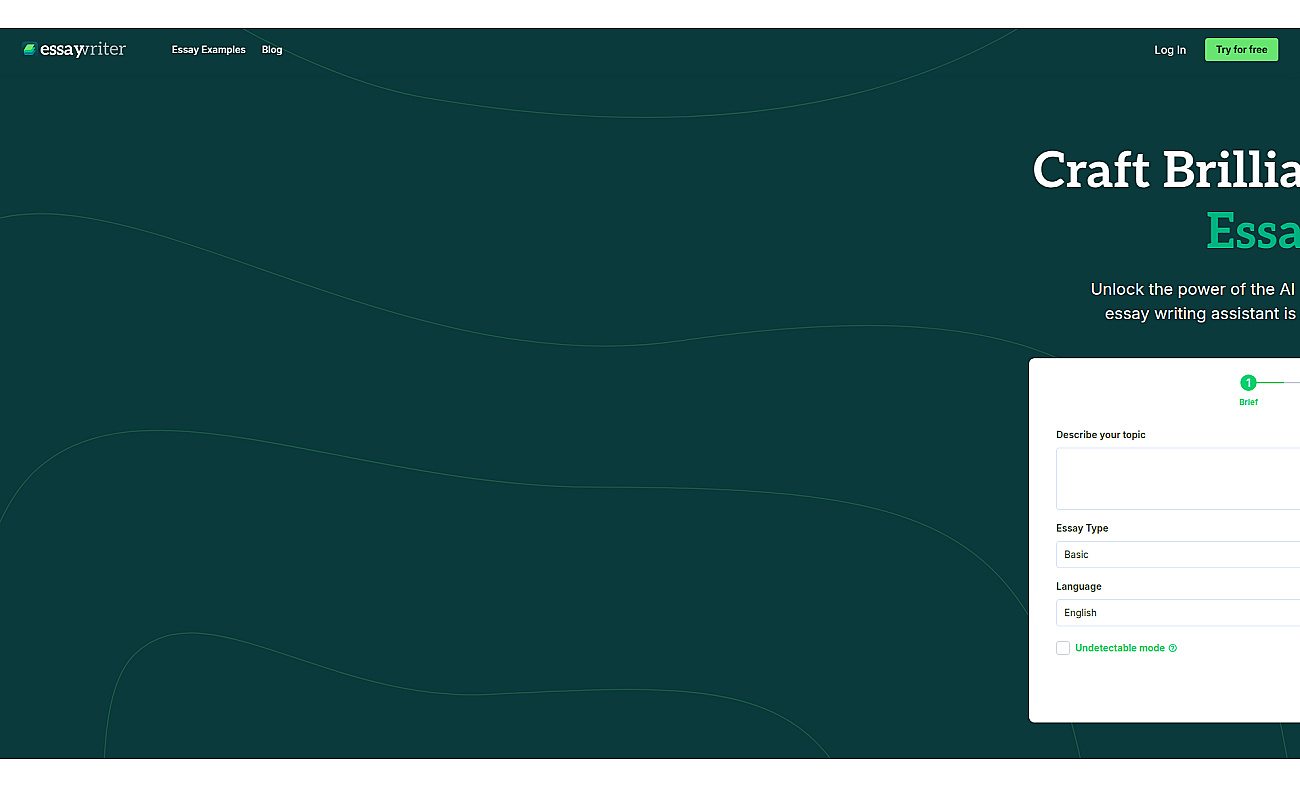 EssayWriter screenshot