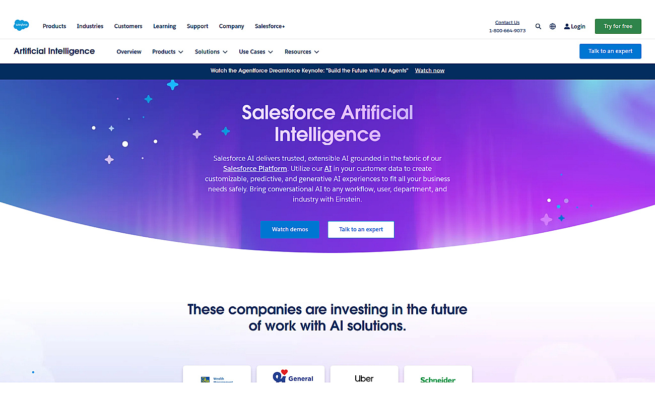 Salesforce Einstein AI screenshot