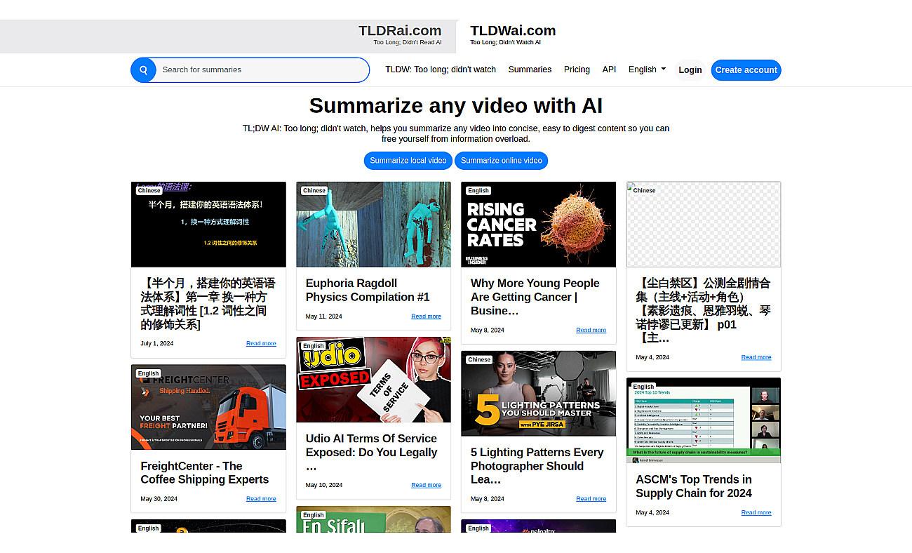 TLDWAI screenshot