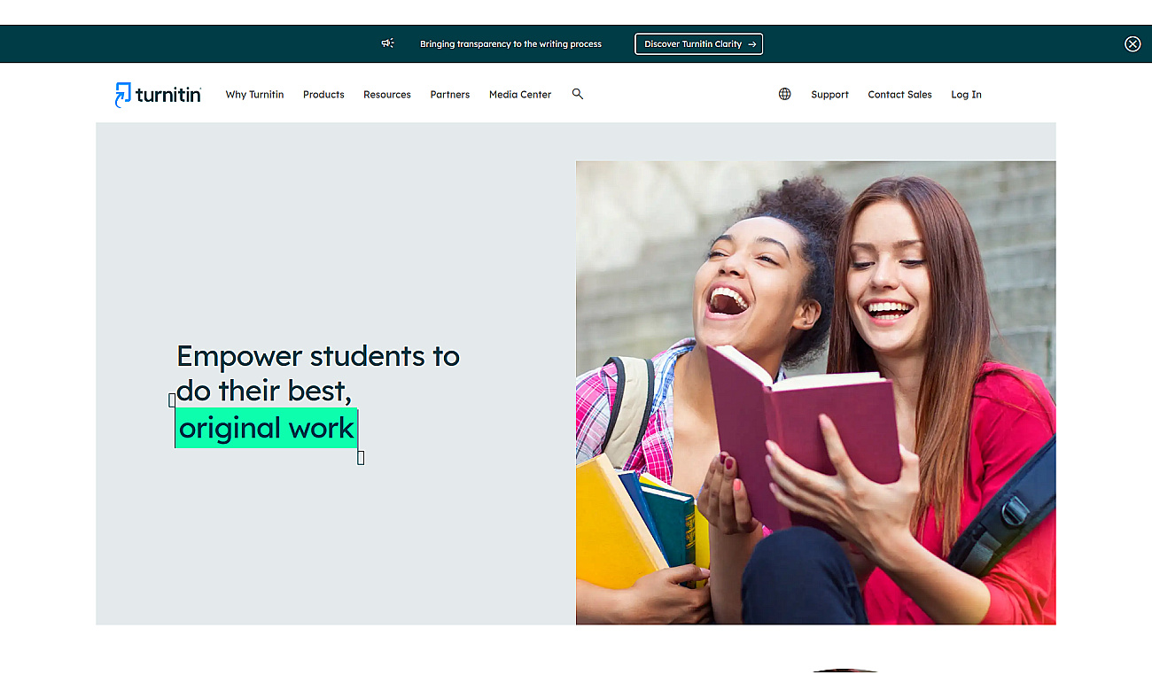 Turnitin screenshot