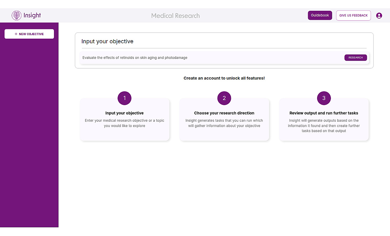 Insightai.dev screenshot