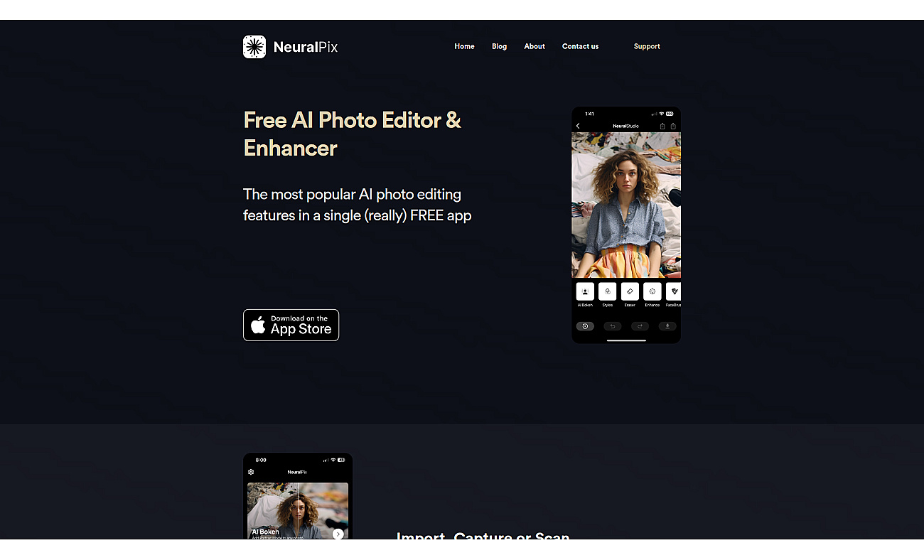 NeuralPix screenshot