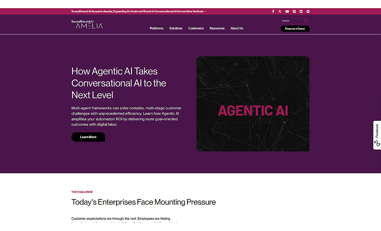 IPsoft Amelia screenshot