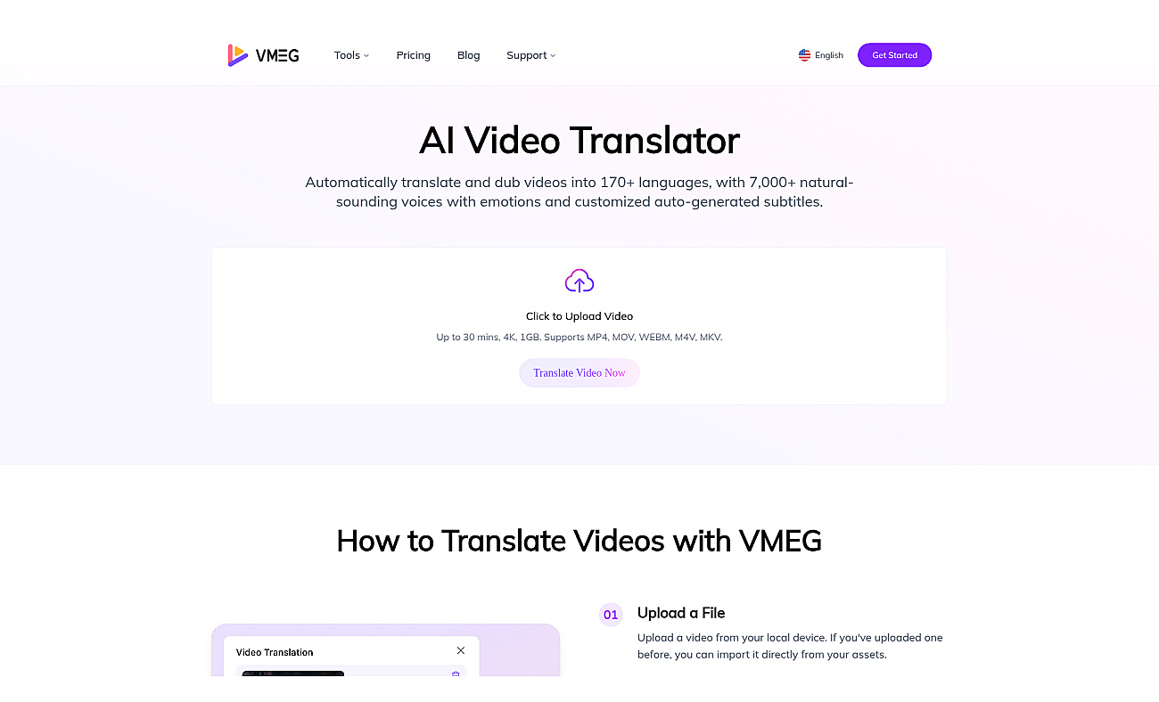 VMEG Video Translation screenshot