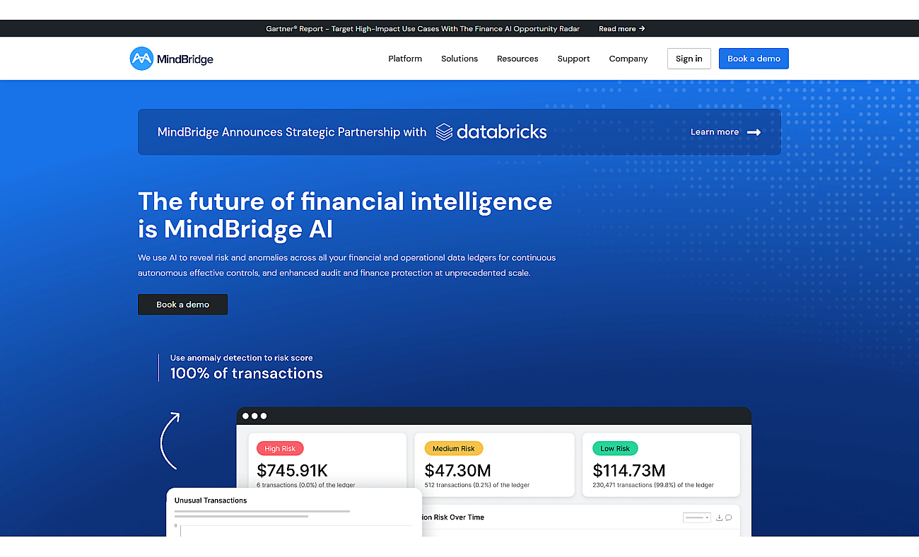 mindbridge.ai screenshot