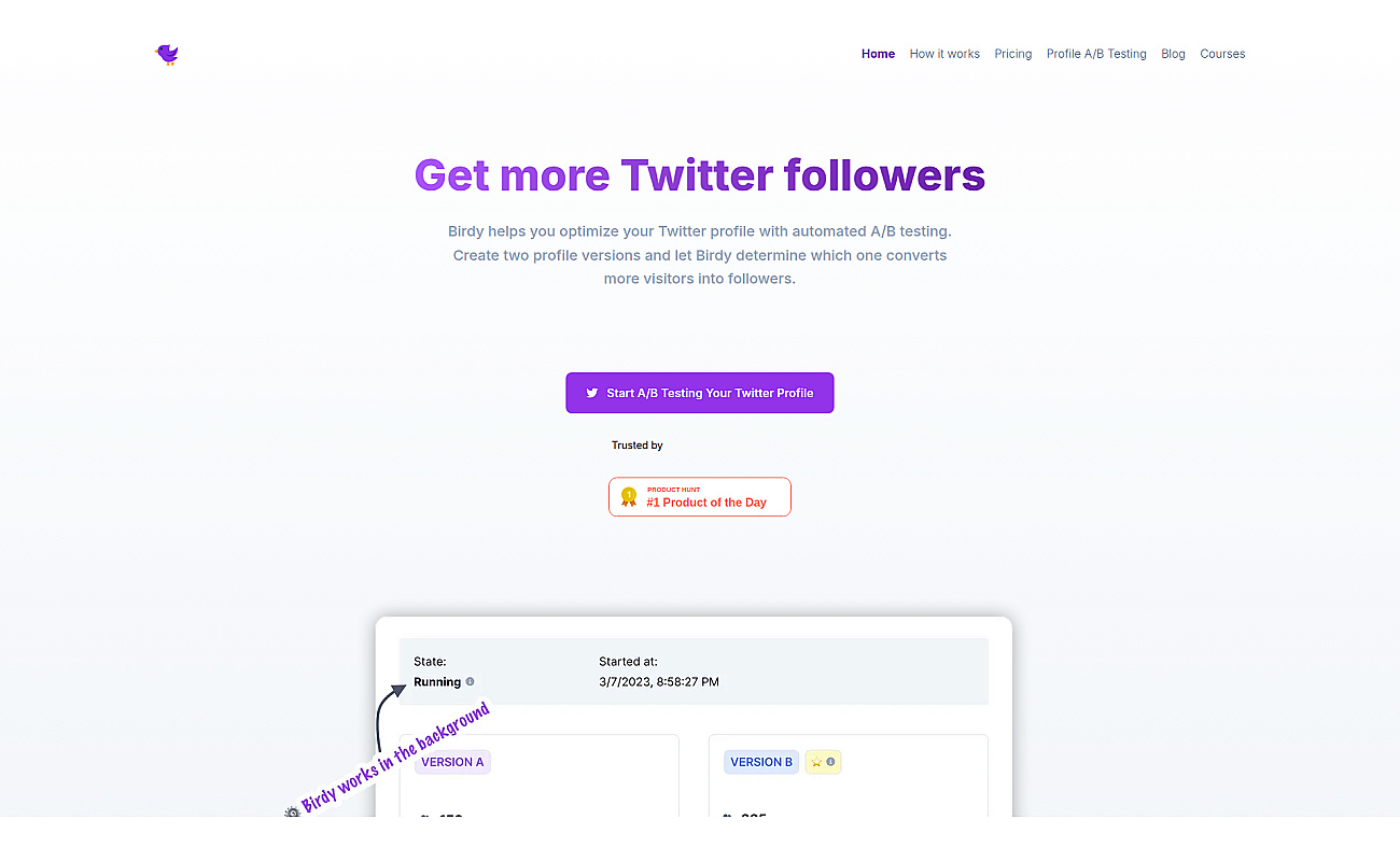 Birdy screenshot