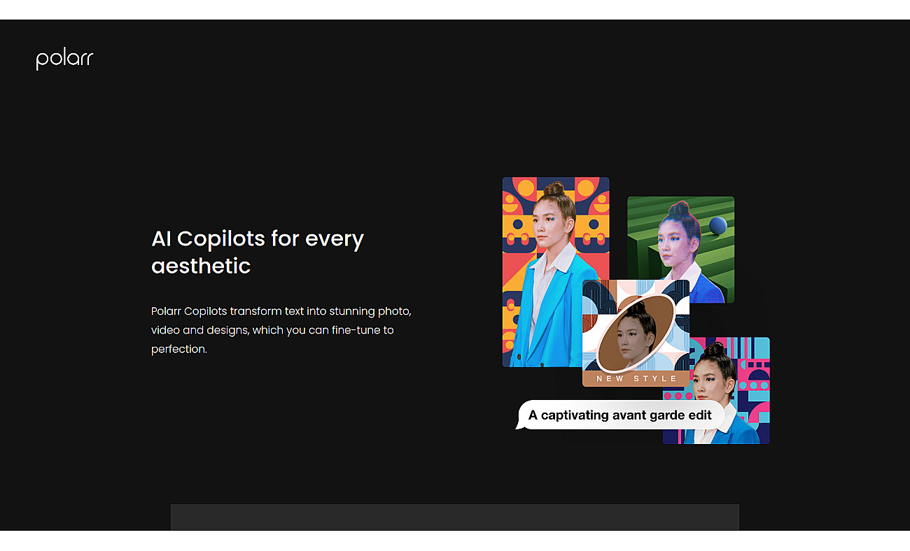 Polarr Copilots screenshot