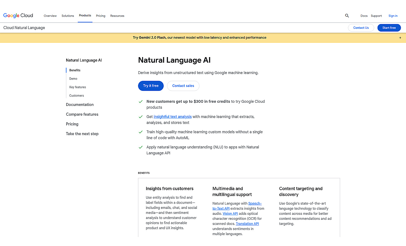 Google Natural Language API screenshot